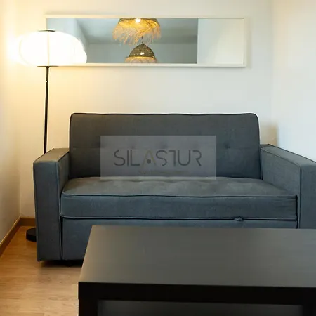 Vive Oviedo I Apartment